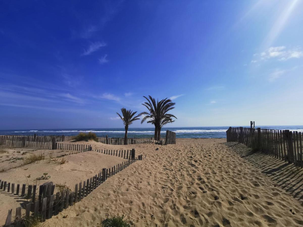 Soleil Levant 2 - En Bord De Mer - Superbe Appartement Cosy - Acces Direct Plage - Proche Commerces Et Animations Le Barcarès Екстериор снимка